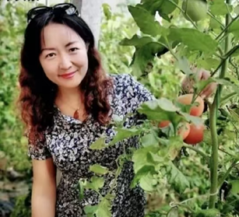 1761788397203262.png 1761788397203262.png