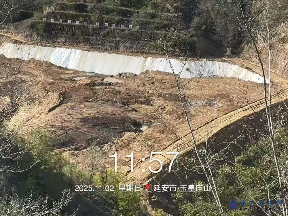 1763198184602788.jpg 1763198184602788.jpg