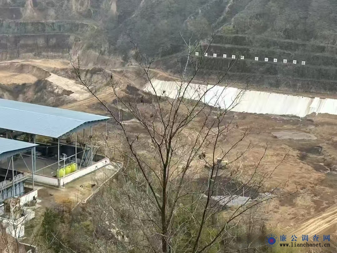 1763198248850287.jpg 1763198248850287.jpg