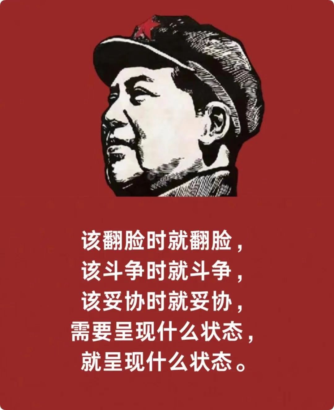 1764797862127623.jpg 1764797862127623.jpg