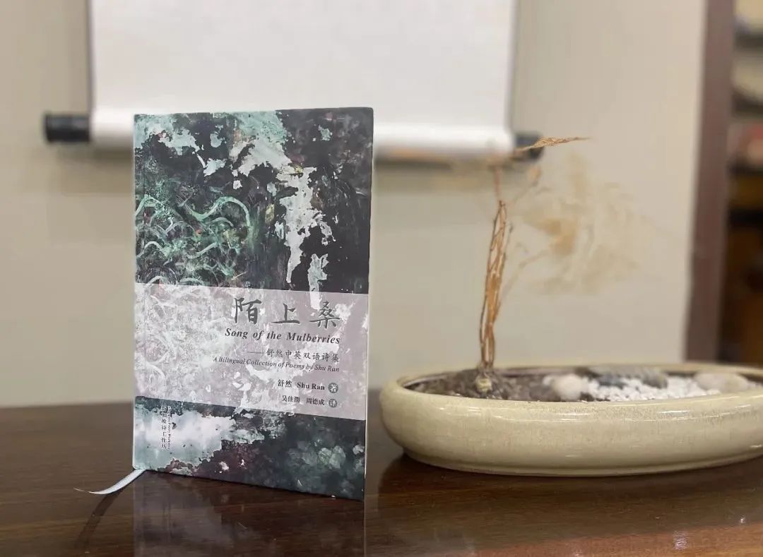 1767339615444283.jpg 1767339615444283.jpg